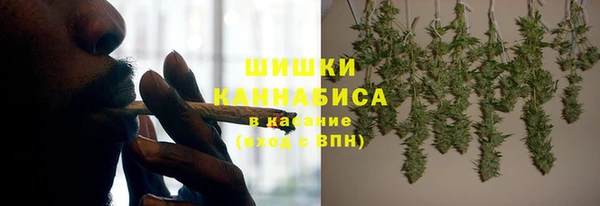 шишки Абаза