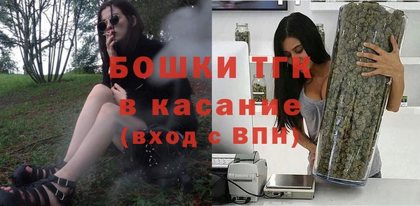 сатива Алексеевка