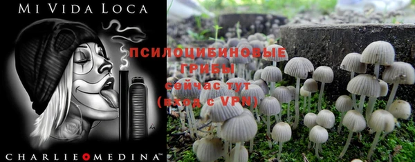 ECSTASY Алзамай