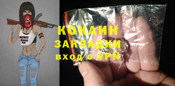 ECSTASY Алзамай