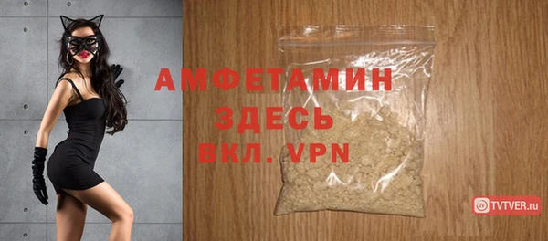 шишки Абаза