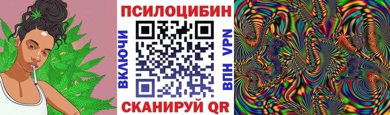 Псилоцибиновые грибы MAGIC MUSHROOMS  Пудож 